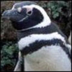 Не откладывай на завтра то, что уже отложил вчера на сегодня.