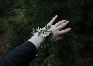 The Delicate Beauty of a Broken Heart - #illhueminati - IC, ILJMAM, HIMSOMRH. IC, AIWCM.
