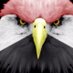 mohamed  (@momo8182) Twitter profile photo