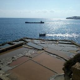 MaltaStayLearn's profile picture. Malta Stay and Learn is an English family business, we welcome English Language students to Malta and into our home.