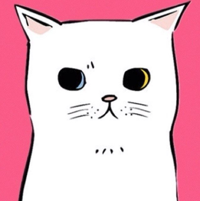 reqwowolly's profile picture. 