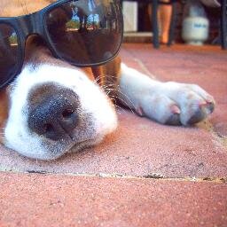 Love music, sunshine, animals and Western Australia!