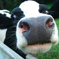 Albert Kamps (@albertkamps) 's Twitter Profile Photo Albert Kamps (@albertkamps) 's Twitter Profile Photo