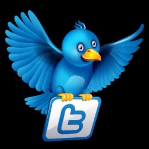 Follow Back 100%