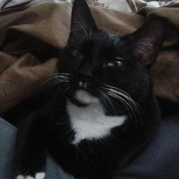 ParsimoniousPom's profile picture. 