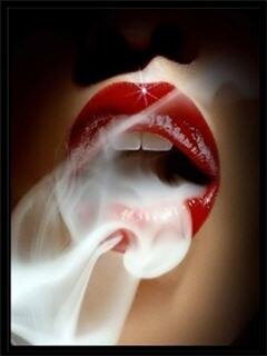 Quentin_Box's profile picture. 