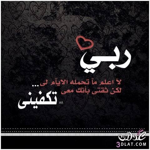 qwer1234qwer731's profile picture. @@@@@من أرض الحرمين@@@@@