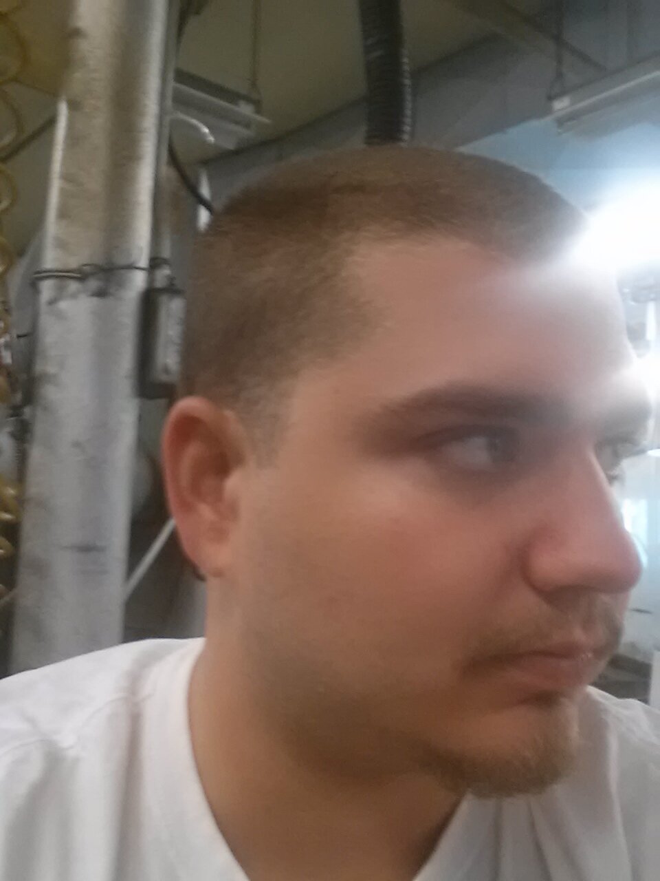 michael defelice
