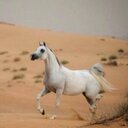 هزاع المطيري (@0549069403) Twitter