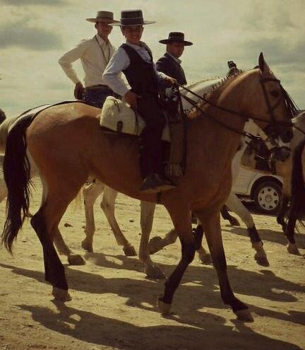 Mi afición son los caballos :)