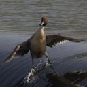 Mack Garner - @blowin420trees - Twitter