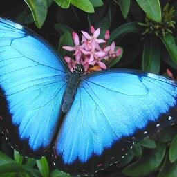 NancarrowB's profile picture. iSchool #MLIS Student at Syracuse University 2015. Clerk at Solvay Public Library coordinating teen summer reading Spark a Reaction program.