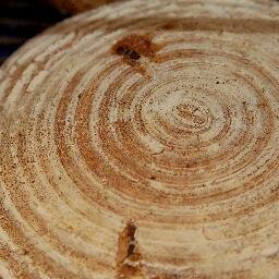 Visit our award winning cafe and bakery in Glasgow. We believe organic produce is better for the people who grow it, bake with it,cook it and eat it.