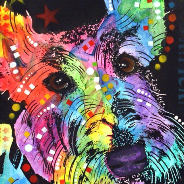 WalcottRebecca's profile picture. 