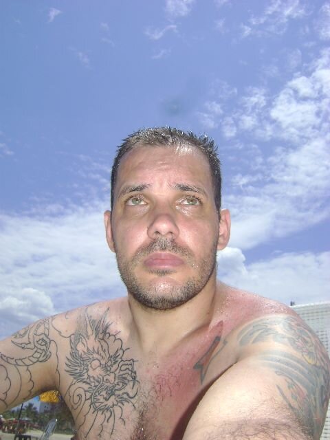 gatodevassocam4's profile picture. 