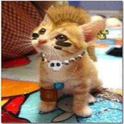 eisc_k's profile picture. 