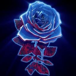 JackStrawWCBN's profile picture. College radio DJ, live music enthusiast, moe.ron, Umphreak, house head, and co-operator extraordinaire.