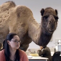 GUESS WHAT DAY IT IS?!