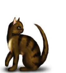 BrambleForest1's profile picture. an apprentice waiting for a mentor(warrior cats Rp)
