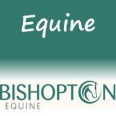 Providing veterinary care to horses in the Ripon, Easingwold and Harrogate areas of North Yorkshire