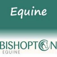 Bishopton Equine (@bishoptonequine) Twitter profile photo