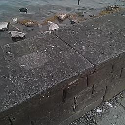 ProcapNWS's profile picture. Verein Procap Nordwestschweiz
Für und mit Menschen mit Behinderung in der Nordwestschweiz, Spenden-Konto: PC 40-11044-7