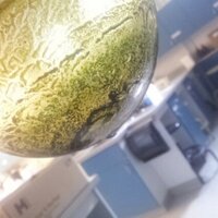 McFarland Laboratory (@mcfarland_labs) 's Twitter Profile Photo McFarland Laboratory (@mcfarland_labs) 's Twitter Profile Photo