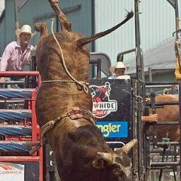 Raising Bucking Bulls is my Passion!!! Work at Lindsey Equine, LLC - Equine Repro - My goal is to raise Bucking Bull of the year some day and own it's mama!