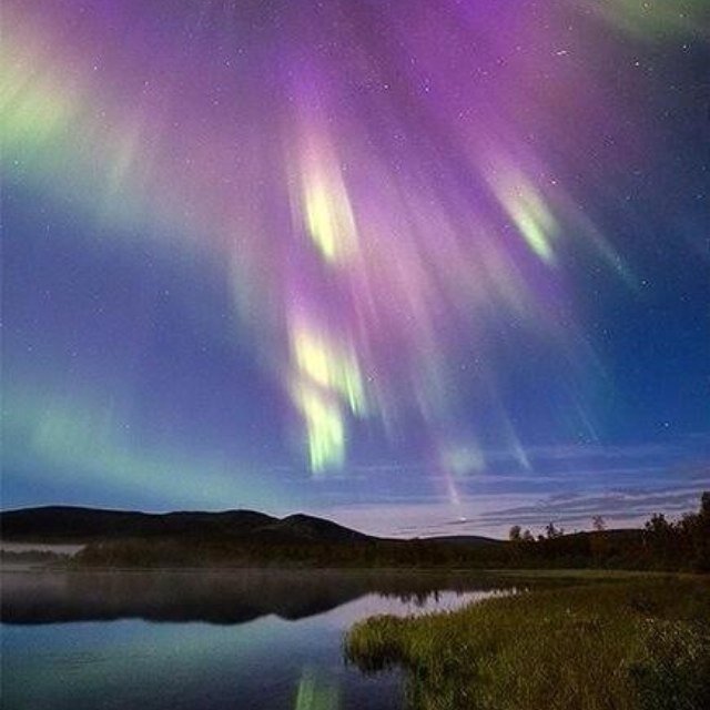 ••••••••Amazing Pictures•••••••• Contact:LittleEmer45@gmail.com
