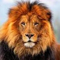 amir ahmed el lithy (@amirelithy) 's Twitter Profile