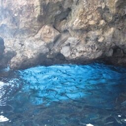 moeiru's profile picture. 