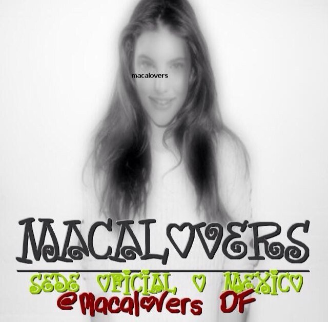 Sede DF @macaloversMX sede oficial @macalovers