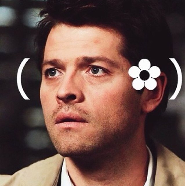 If i follow you ily and your one of my favorite accounts, @AngelsWithToes