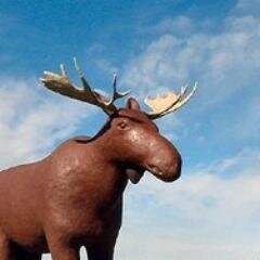 I'm 32 foot,10 ton Moose created in 1984. Monumental attraction at Moose Jaw Info Centre corner Thatcher Drive E & Highway 1 #MJMactheMoose #photo #visitme