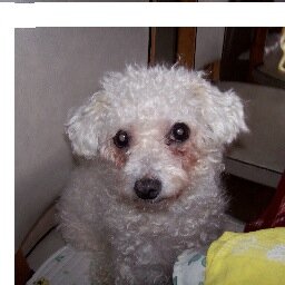 Godard_BD's profile picture. Scénariste, dessinateur, éditeur, producteur exécutif / Scriptwriter, comics artist, publisher, exec producer https://t.co/yB7Fw2YojX