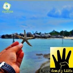 تم اغلاق هذا الحساب للابد