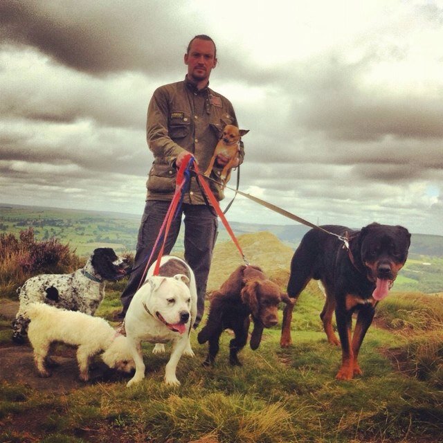 MuddypawsLeeds's profile picture. 