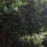 Beatriz Reig (@rsbea) 's Twitter Profile