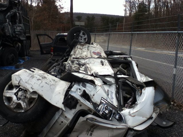 NbsShark's profile picture. 