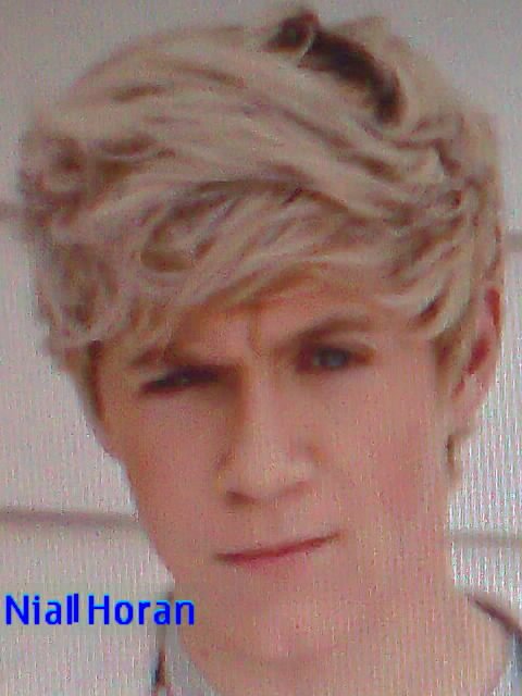 directioner forever