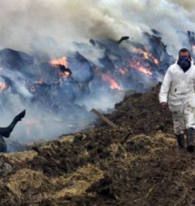 Please help us save our wildlife! A local farmer is planning on burning abbatoir waste near our wildlife reserve! We need help!