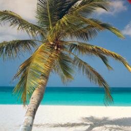 ArubaFrontpage's profile picture. All you need is Aruba!