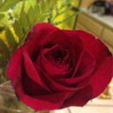 Michelle Chastain - @Michellebelle77 - Twitter