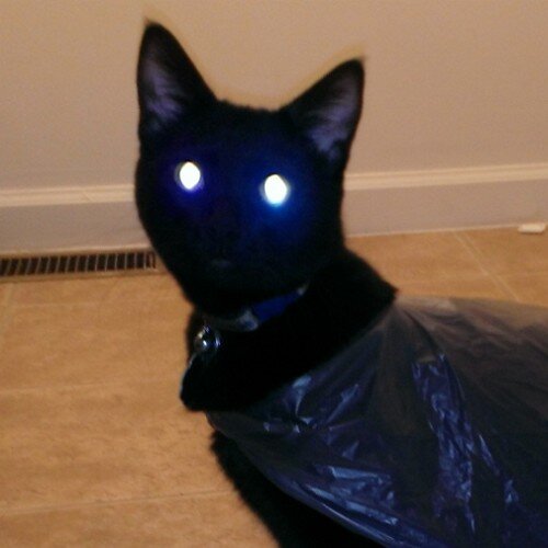 booksandwines's profile picture. Winemaker extraordinaire!