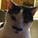 Tammy North - @north_tammy - Twitter