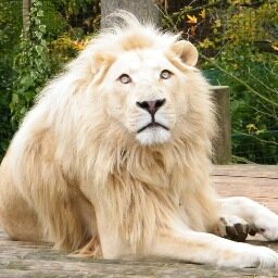 Danielclose2's profile picture. Train hard