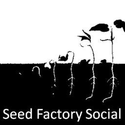 Social Media Consulting, Management & Training for small business.