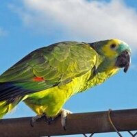 anomaly (@dreandvicki) 's Twitter Profile Photo