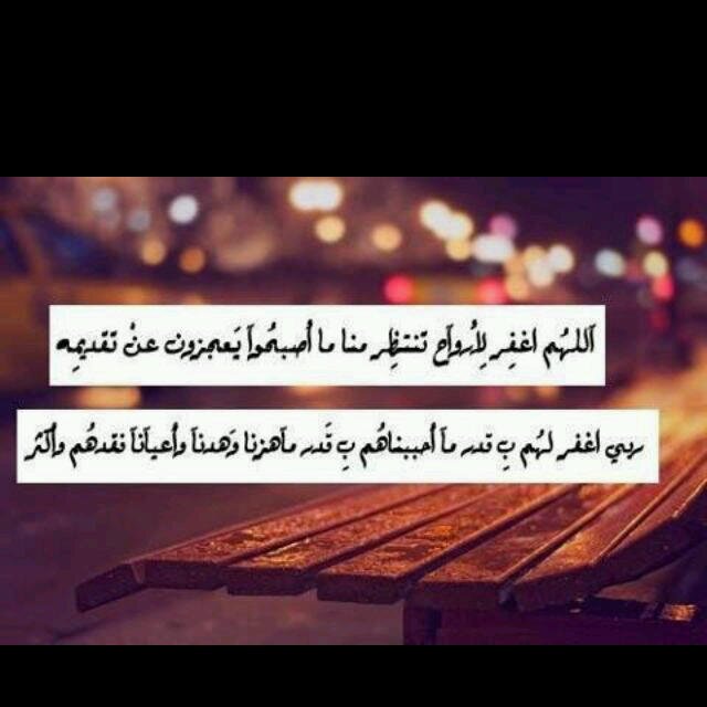 l7n_sz's profile picture. 💍Somy