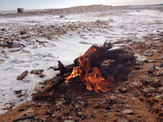 saa2009aad2009's profile picture. 